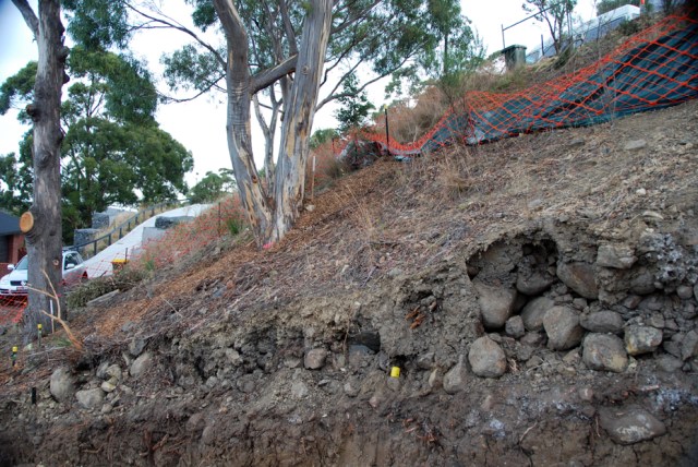 Floaters 39 DSC_0325