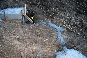 Body reaching 43 DSC_0812