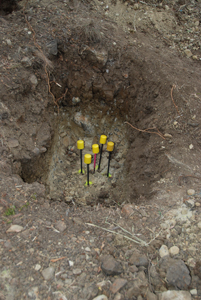 Pier with chemset reo 39 DSC_0321