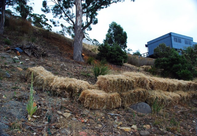 Steep site preliminary 37 DSC_0147