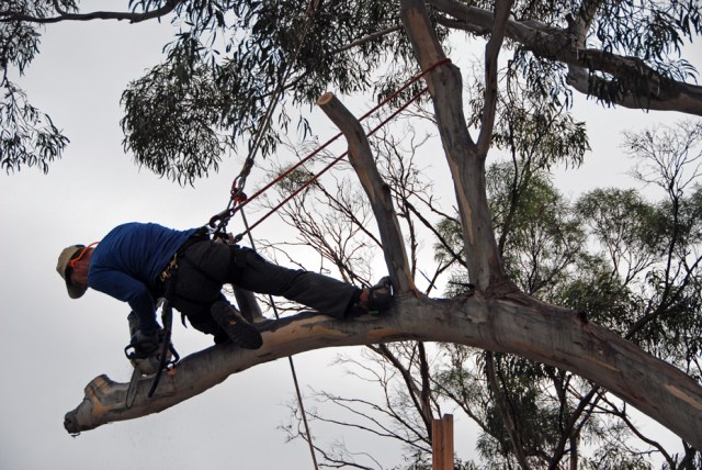 Angliss 05 horizontal 65 DSC_0644