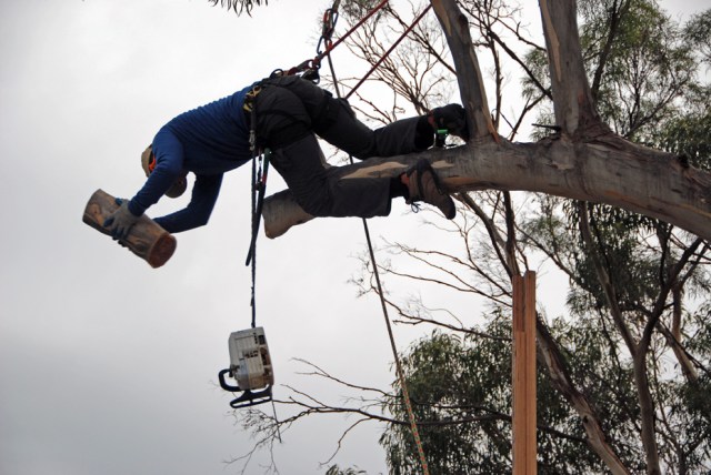 Angliss 06 throwing 65 DSC_0648