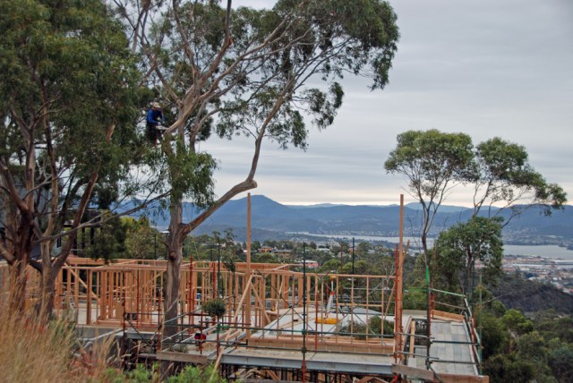 Angliss 09 dead wood final 65 DSC_0673