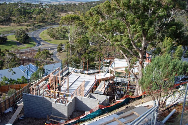 Day 51 framing 1 62 DSC_0396