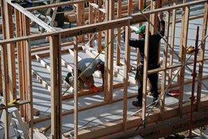 Day 52 wall framing 1 62 DSC_0415