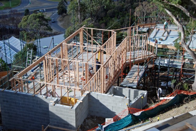 Day 52 wall framing 2 62 DSC_0412