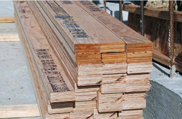 LVL wall studs DSC_0398