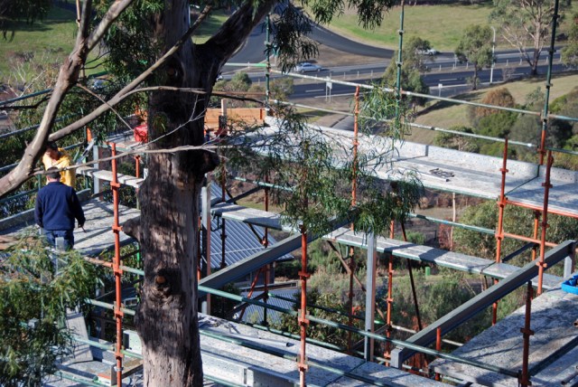 Steel beams in place 57 DSC_0574