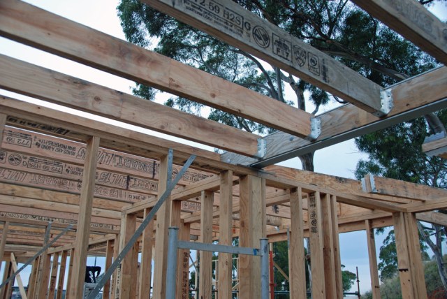 Framing Hyspan floor joists attached to the steel beam 67 DSC_0821