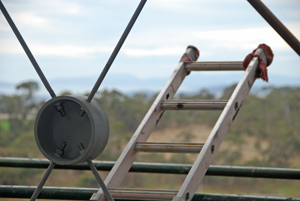 Steel bracing detail 67 DSC_0834