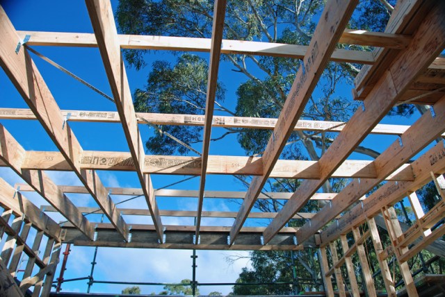 Roof structure 09 studio rafters and purlins done 74 DSC_0003