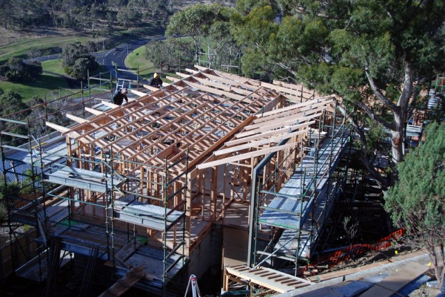 Roof structure 11 purlins almost done 74 DSC_0013