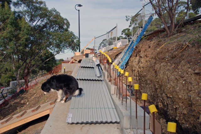 Roof details 13 sheets arrive DSC_0112
