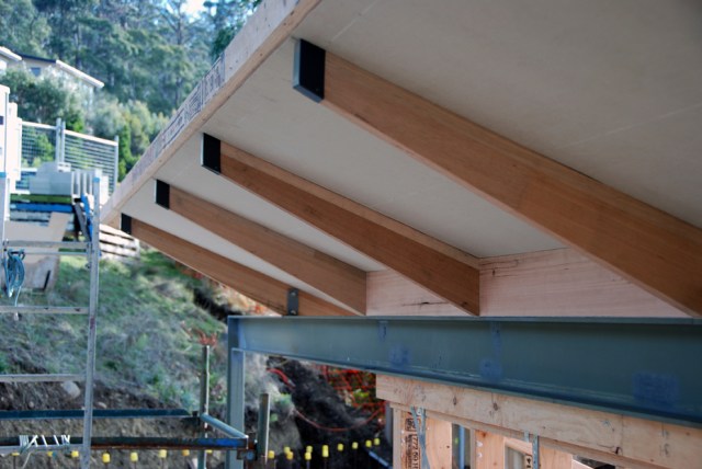 Roof details 13 south eave complete 74 DSC_0102